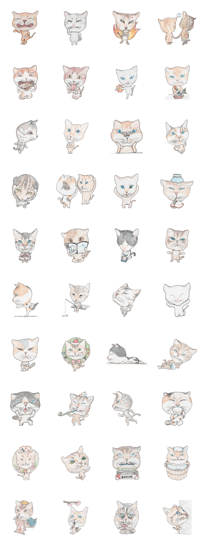 Incredible cats