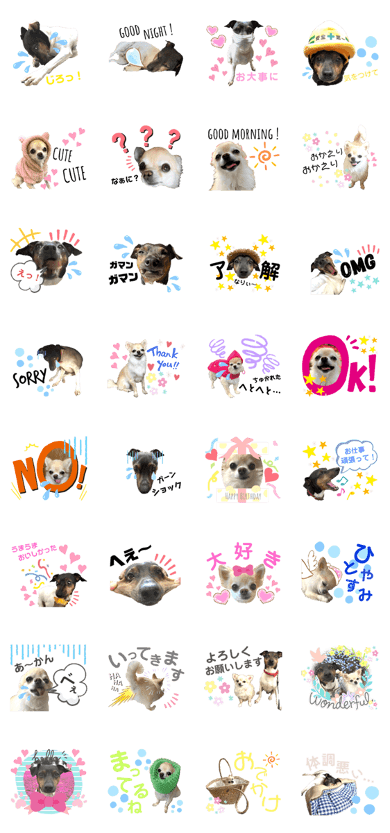 日本テリアの麗音 チワワのぷぅ Lineクリエイターズスタンプ Stamplist