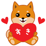 Shiba dog "MUSASHI" 6