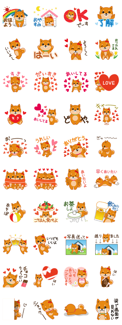 Shiba dog "MUSASHI" 6
