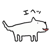 White dog  Sox cat