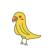 Love bird happy
