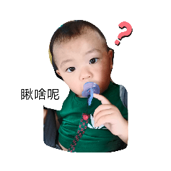 陶樂迪