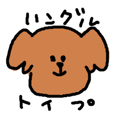 Korean toy poodle