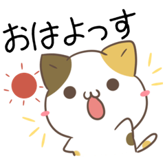 Yamagata dialect calico cat