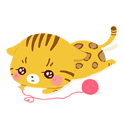 BengalCat Cucuru