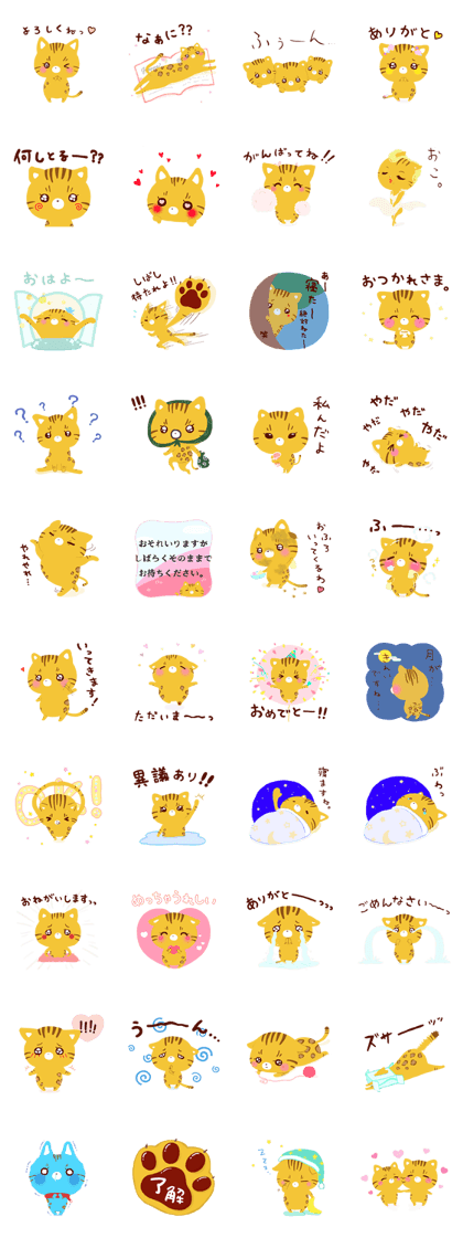 BengalCat Cucuru