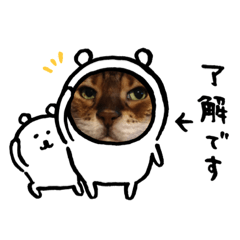cat&dog_20200619180149