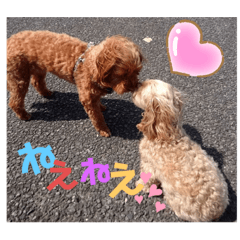 hoshimin_20200619201236