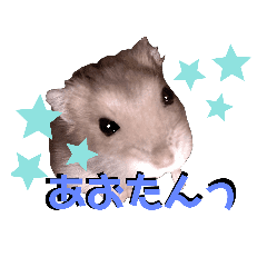 ハムスター Lineクリエイターズスタンプまとめ Stamplist Part 2 ハムスター Lineクリエイターズスタンプまとめ Stamplist Part 2