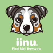 iinu - Australian Shepherd