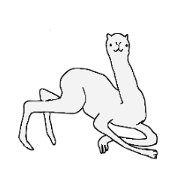 everyday camel