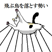 Cat and Japanese Proverb