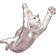 Strange pose cat 6