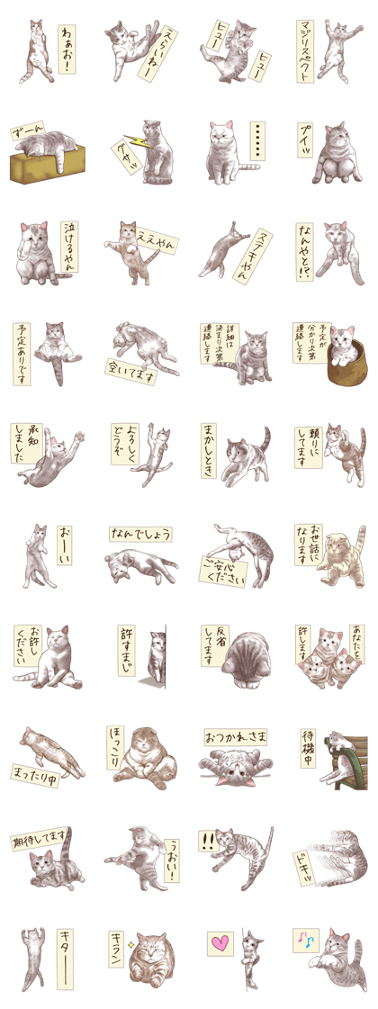 Strange pose cat 6