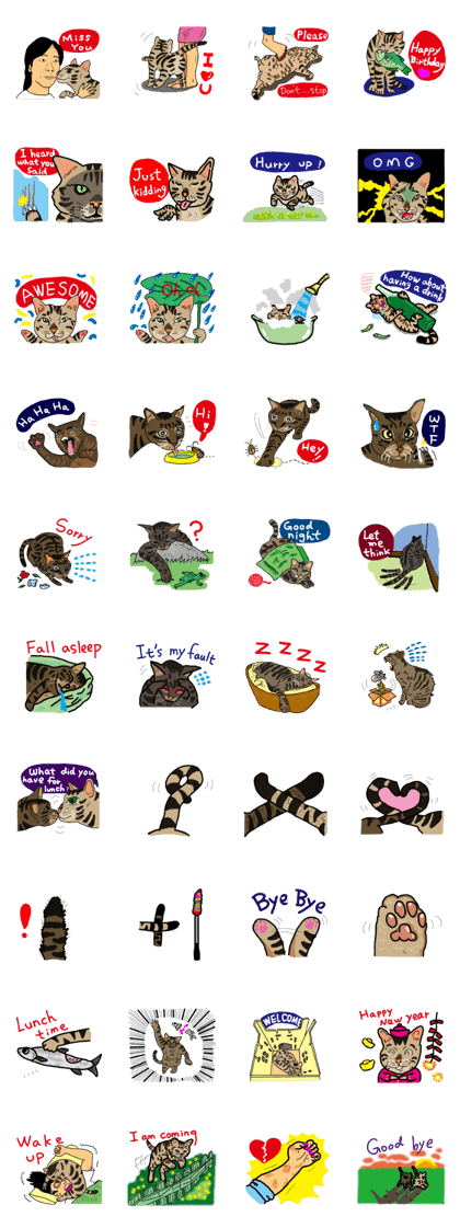 Two cats- Cola and Chocolate