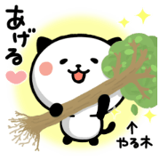 Kitty Panda6