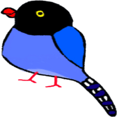 Formosan Blue Magpie yamamusume