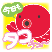 Octopus Now