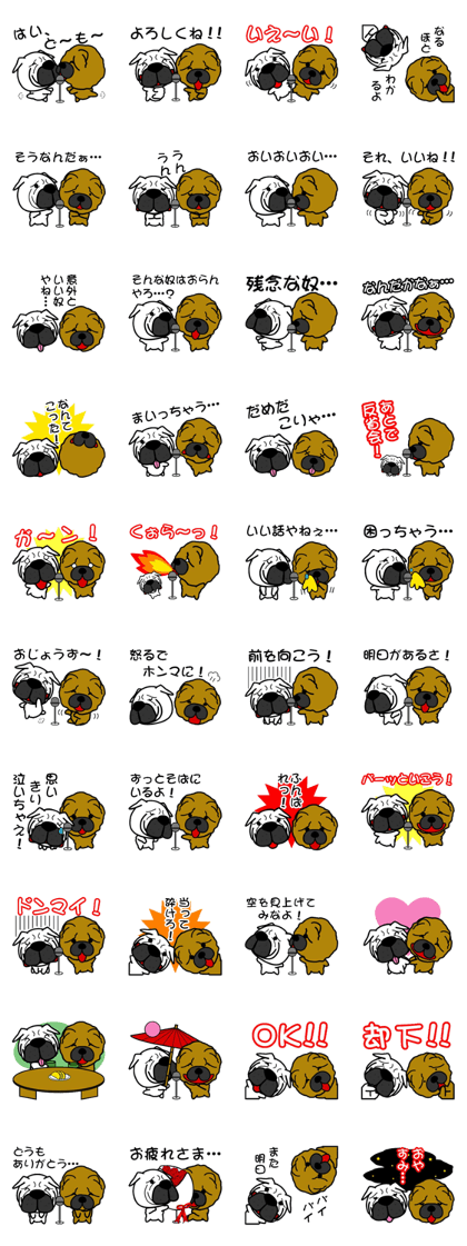 Isn't it a chow chow 6
