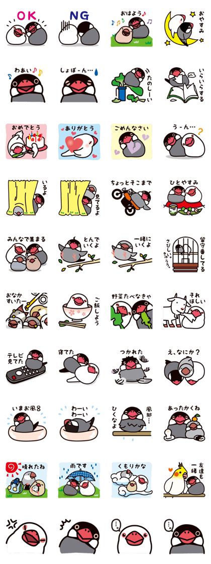 Today is also Java sparrow happiness.