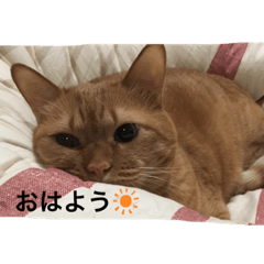 riho_20200619215033