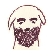 Beard dog