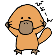 cute animal platypus