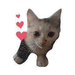 saori_20200619165224