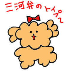 Mikawa-ben toy poodle