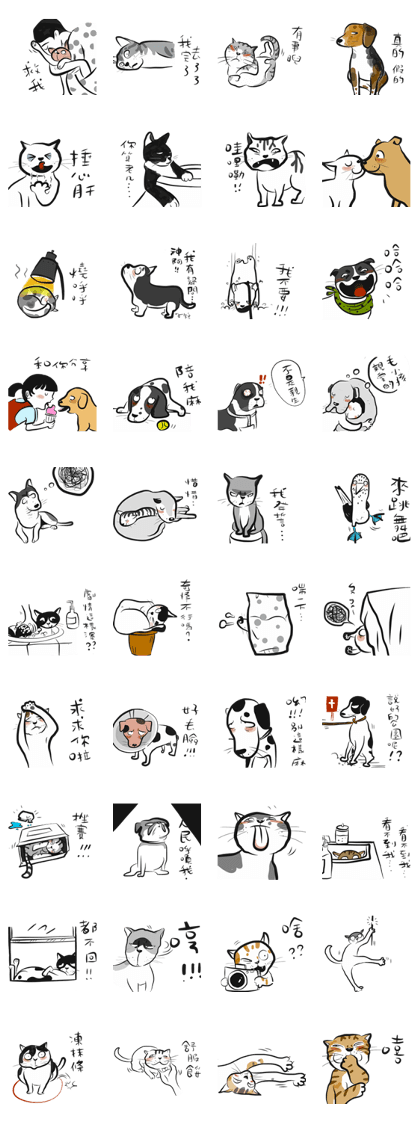 Thirteen's furry pet