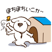 Dogs reluctant2
