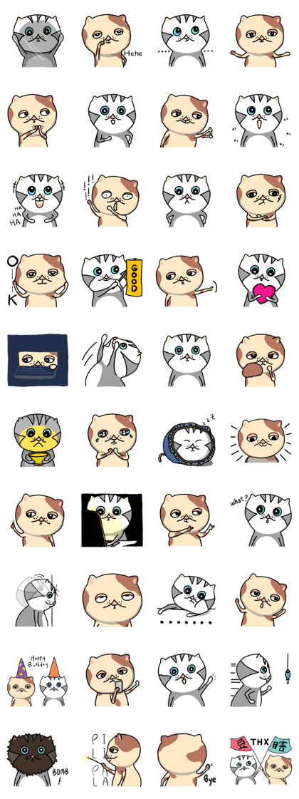 Shiami & Tudo  (English ver.)