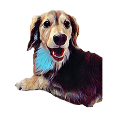 My dog is at home