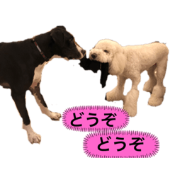 Rei_20200620015422