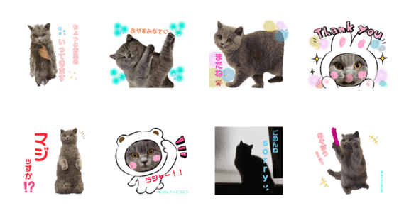 ずんぐりころころした猫のスタンプ Lineクリエイターズスタンプ Stamplist