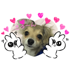 melon_20200620125336