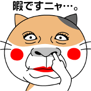 Neko! Keigo! Neko!
