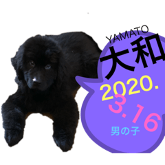 Rei_20200620031703
