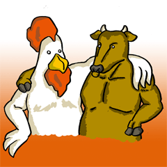 a cool cattle and a funny chicken