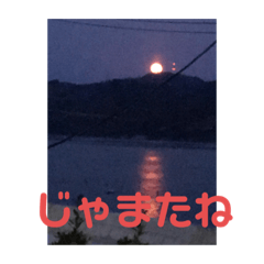 mimi_20200620152651