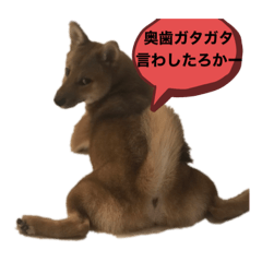 Rei_20200620001551