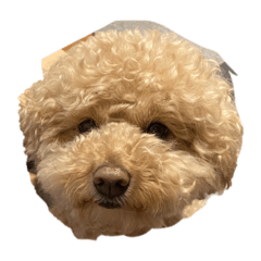 hayato_20200620100255