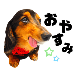 omochi_20200620181113