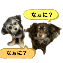 Rei_20200620041434