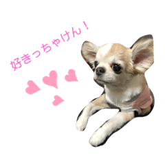 yami_20200620183544