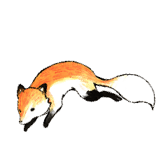 Quick orange fox