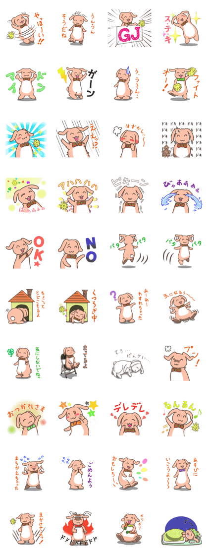 Anytime, smiling face rabbit Anytime, smiling face rabbit