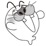 Seals knead the theory! Seals knead the theory!