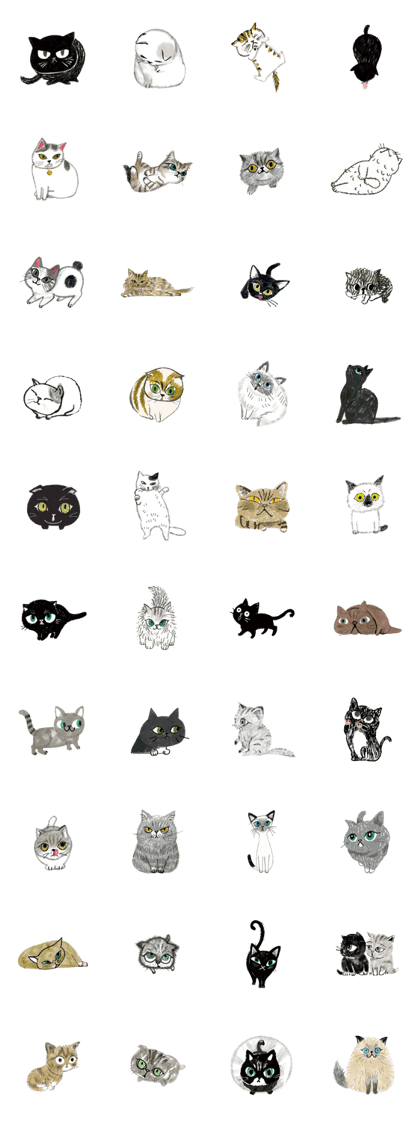 Chaton Chaton 2 Chaton Chaton 2